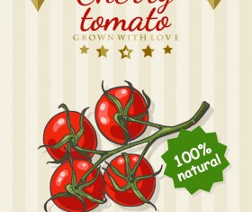 cherry tomato poster template retro vector