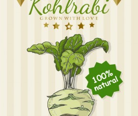 kohlrali poster retro vector design