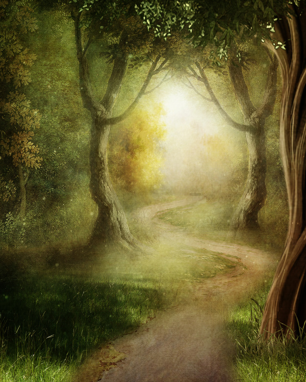meandering path in the forest Stock Photo