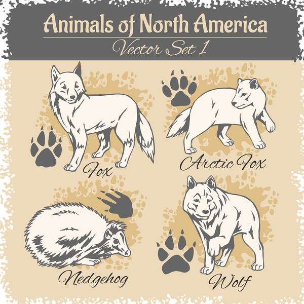 north america animal with footprints vector 01