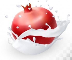 pomegranate and splash milk vector