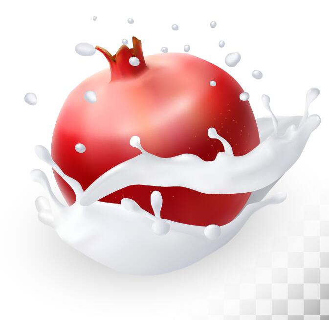pomegranate and splash milk vector