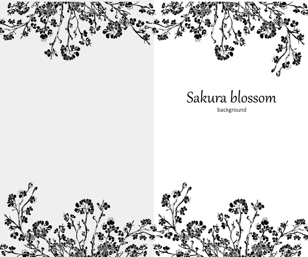 sakura blosson banner vector background 05