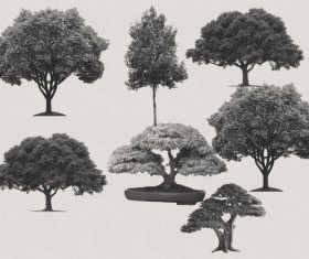 Arboles Photoshop Brushes