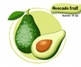 Avocado fruit illustration vector