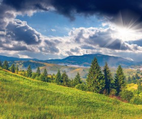 Beautiful field HD picture