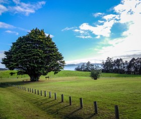 Beautiful nature landscape Stock Photo 04