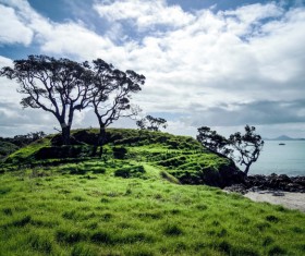 Beautiful nature landscape Stock Photo 05