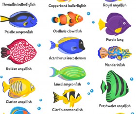 Beautiful tropical fish vector set 01