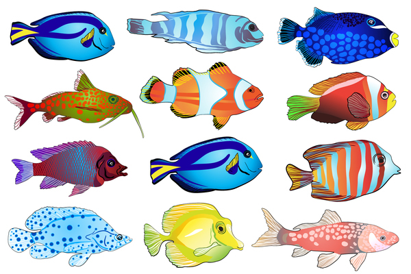 Download Beautiful tropical fish vector set 02 free download