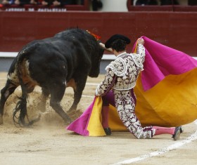 Bullfight Stock Photo 01