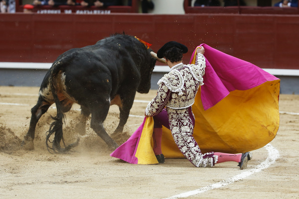 Bullfight Stock Photo 01