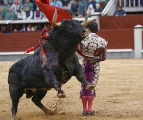 Bullfight Stock Photo 02
