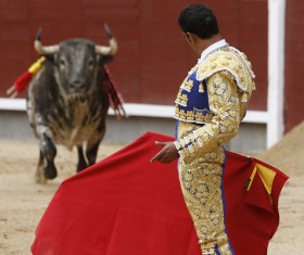 Bullfight Stock Photo 03