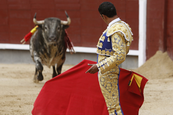 Bullfight Stock Photo 03