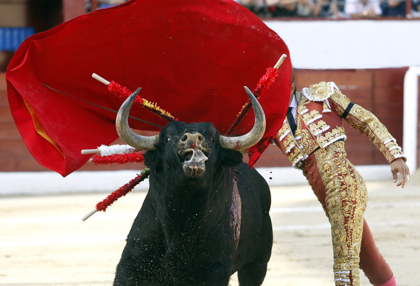 Bullfight Stock Photo 04