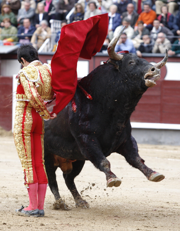 Bullfight Stock Photo 05