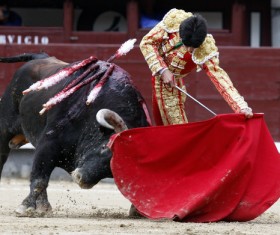 Bullfight Stock Photo 06