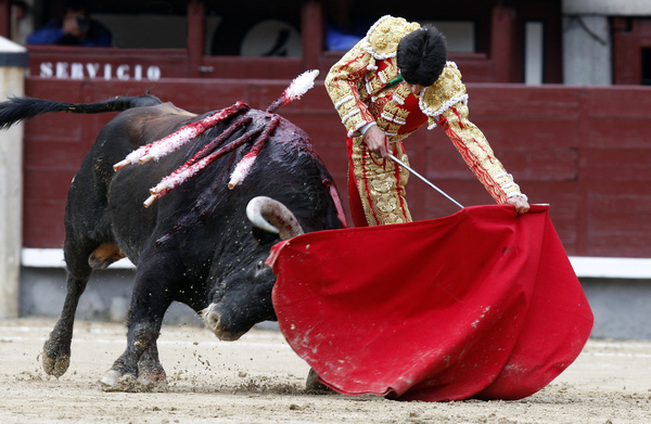 Bullfight Stock Photo 06