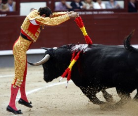 Bullfight Stock Photo 07