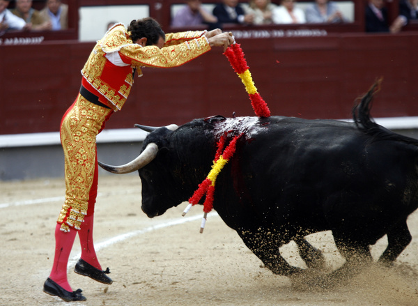 Bullfight Stock Photo 07