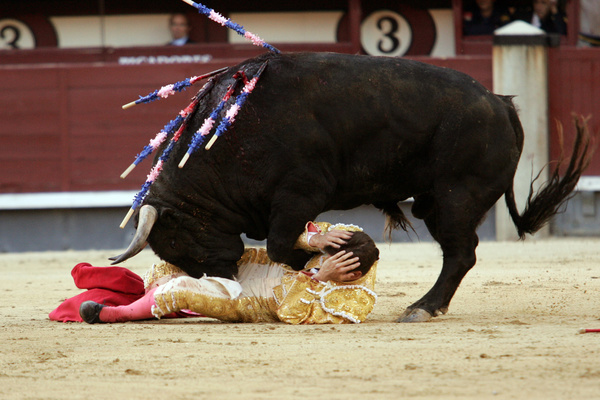 Bullfight Stock Photo 08