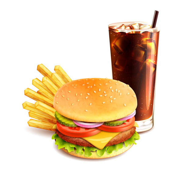 Burger and fries vector