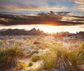 California desert landscape Stock Photo 04