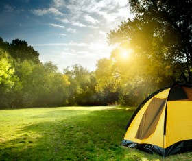 Camping tents in the forest Stock Photo