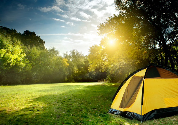 Camping tents in the forest Stock Photo