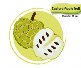 Custard apple fruit illustration vector
