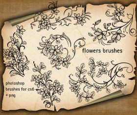 Decorative flower photoshop brushes