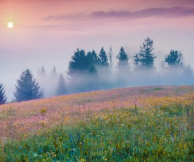 Filled with foggy fields HD picture 01