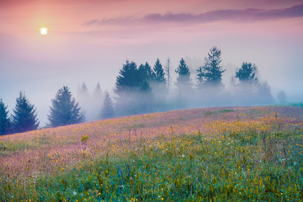 Filled with foggy fields HD picture 01