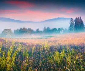 Filled with foggy fields HD picture 02