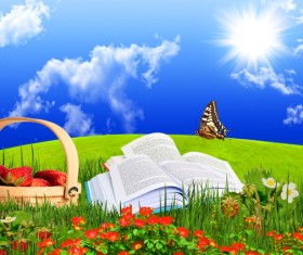 Fruit baskets and flowers HD picture