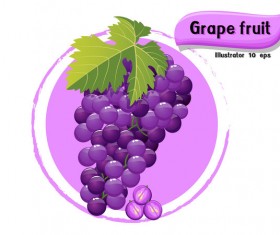 Grape fruit illustration vector