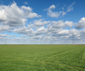 Green farmland Stock Photo
