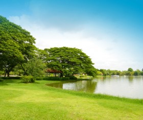 Green lake Stock Photo