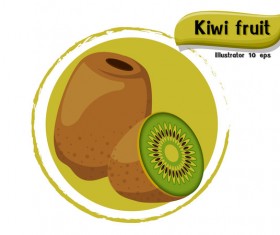 Kiwi fruit illustration vector