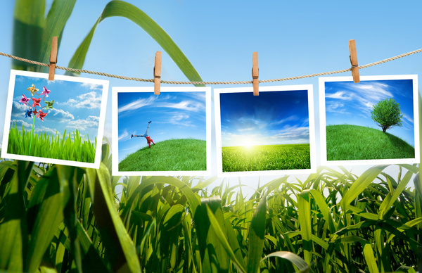 Landscape frame Stock Photo