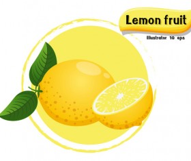Lemon fruit illustration vector