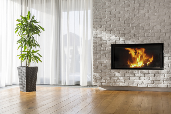 Living room fireplace with large plants Stock Photo