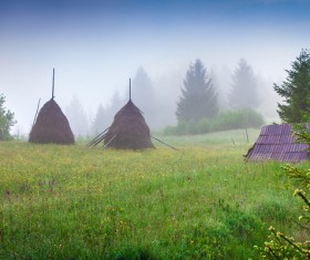 Mountain filled with fog HD picture
