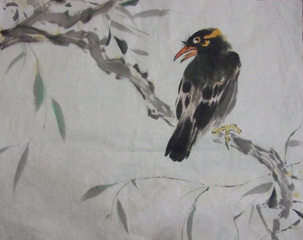 Myna ink painting HD picture