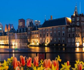 Night Hague Parliament Building Stock Photo 03