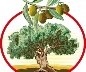 Olive treeIn oval frame vector 01 free download
