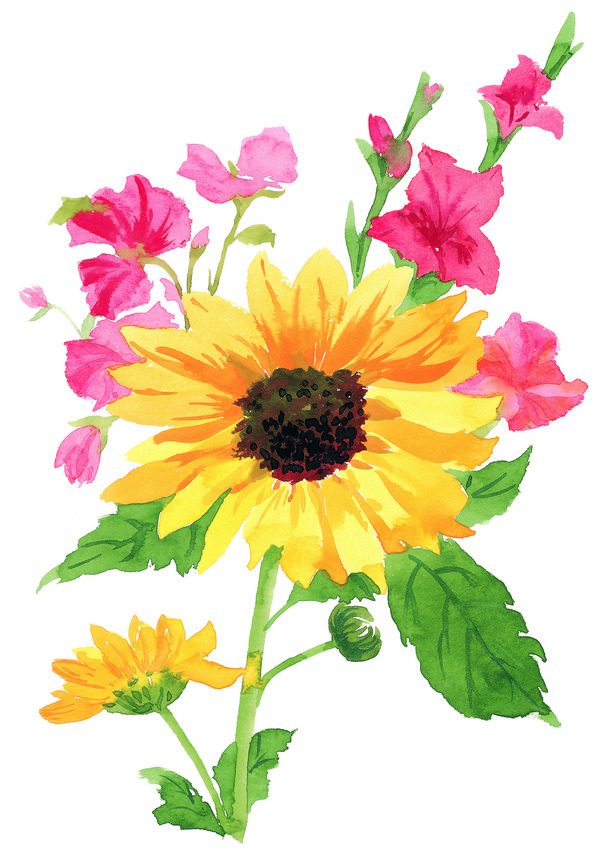 Painted sunflower Stock Photo