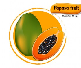 Papaya fruit illustration vector