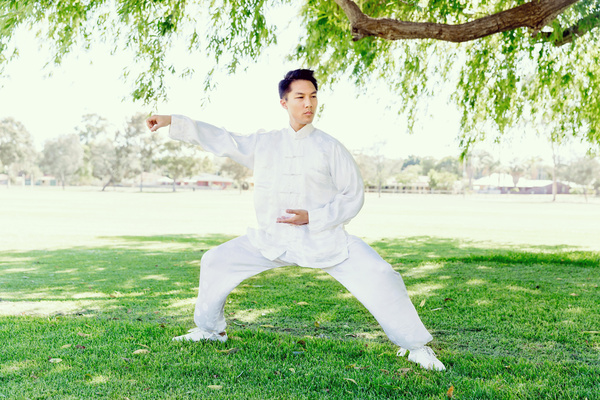 People practicing tai chi in park HD picture 01